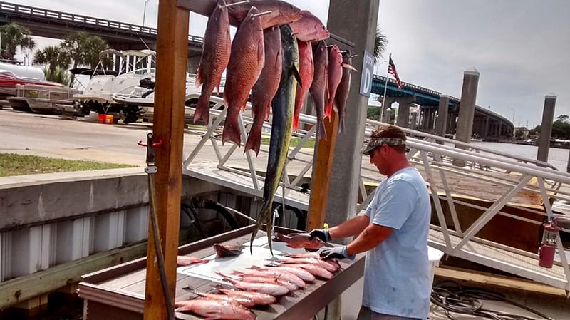 A man stands at a cleaning station by the water, filleting fish. Several large fish hang on a rack above him. Boats and a bridge are visible in the background on a partly cloudy day.