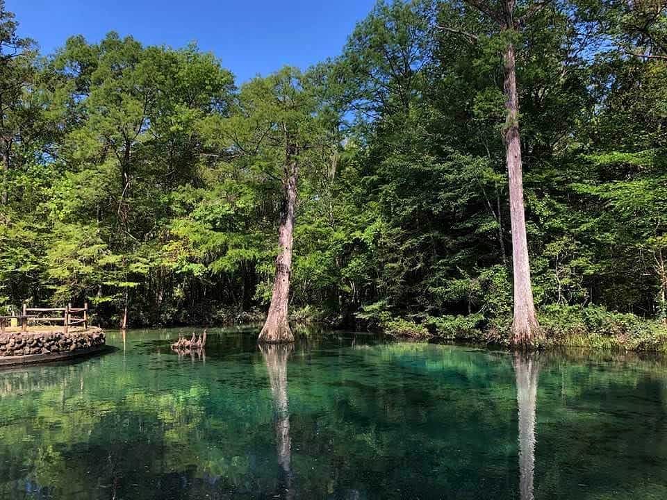 A serene pond surrounded by lush green trees under a clear blue sky. The water is calm and clear, reflecting the vibrant foliage. A small wooden structure is visible on the left side of the image.