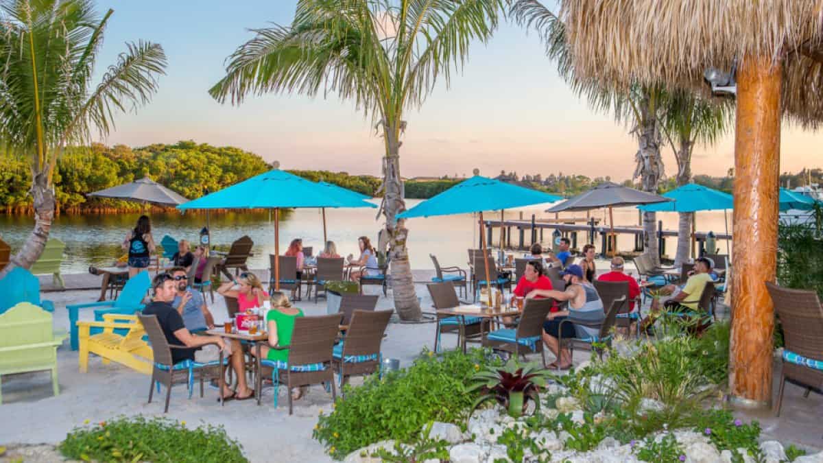People relax at a tropical outdoor café by the water, surrounded by palm trees and blue umbrellas. Tables and chairs are arranged on a sandy area, with lush greenery and a water view in the background under a clear sky.